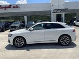 Audi Q8 50 TDI 286 CV quattro tiptronic Sport TE - Audi Q8 Hybrid (Diesel/Elektro)