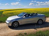 Mercedes-Benz CLK 200 Cabrio Kompressor Au... - Mercedes-Benz CLK 200 aus 2004