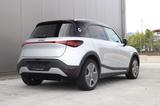 Smart #1 Pro LFP-AKKU+360°+NAVI+CARPLAY+ACC+MEMORY+ASS - Smart #1: Kleinwagen