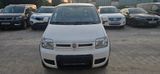 Fiat Panda 1.3 16V JTD Classic 4X4 - Fiat Panda mit Diesel-Antrieb