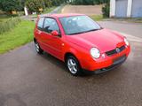 Volkswagen VW Lupo 1.0 Princeton sehr wenig laufleist... - Volkswagen Lupo mit Benzin-Antrieb: Kleinwagen, 1.0