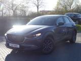 Mazda CX-30 2.0 M-Hybrid Basis 2WD LED Navi ACC PDC - Mazda CX-30 Gebrauchtwagen