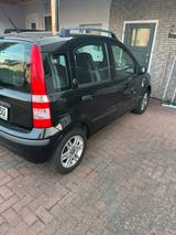Fiat FIAT PANDA 1.2 mit TÜV - Fiat Panda in Wiesbaden