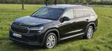 Skoda Kodiaq 2.0 TDI 142 kW 4x4 Selection *St-Hzg.*AHK - Skoda Kodiaq: Selection