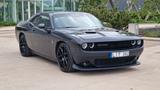 Dodge Challenger 6.4 SCAT PACK 392 - graue Dodge Challenger