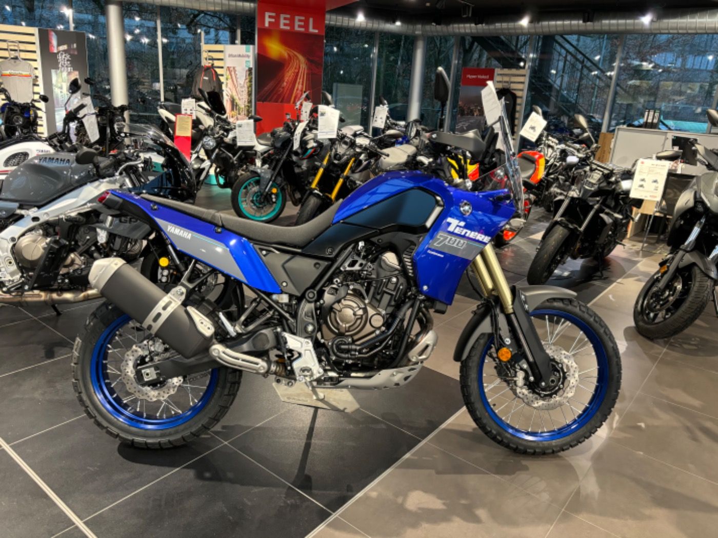 Fahrzeugabbildung Yamaha XTZ 700 Tenere Modell 2024 Tageszulassung