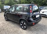 Fiat Panda (319) City Plus - gebrauchte Fiat Panda aus dem Jahr 2023