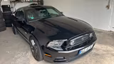 Ford Mustang - Ford Mustang mit Benzin-Antrieb: Coupe