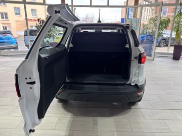 Ford EcoSport Trend Tempomat  Winter-Paket