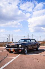 Ford 1966 Ford Mustang Coupe K Code 289 Hi Po V8 - Ford: 289