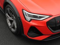 Audi e-tron - Vorschau Bild 16
