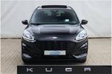 Ford Kuga 2.0 EcoBlue AWD ST-Line X - Ford Kuga Gebrauchtwagen in Münster