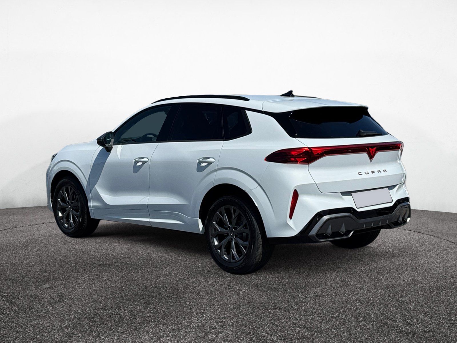 Cupra Terramar - Bild 5