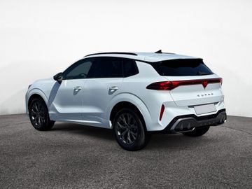 Cupra Terramar - 5