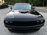Dodge Challenger 6,4 Shaker Aut. Navi Leder Kamera SRT - Dodge: Srt4