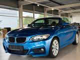 BMW 220i Cabrio M Sport Xenon Navi Leder - : Cabrio, Sport
