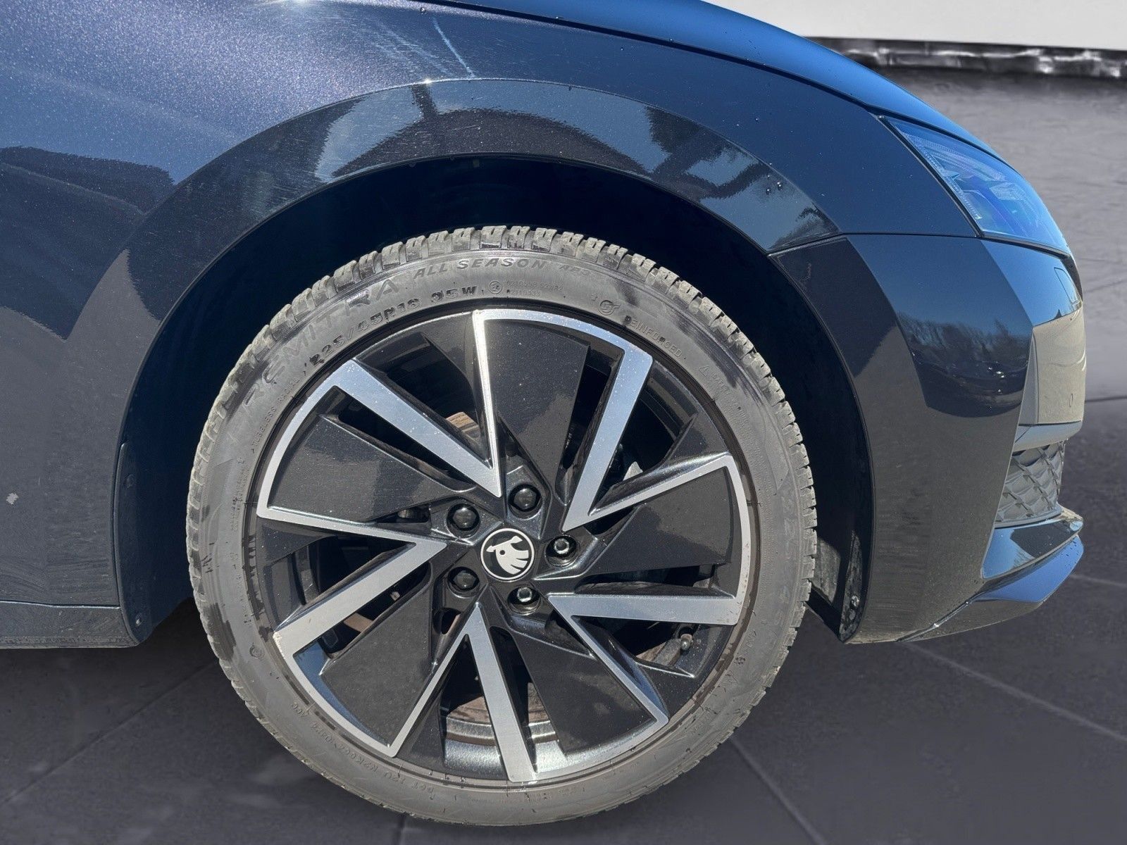 Skoda Octavia - Bild 11