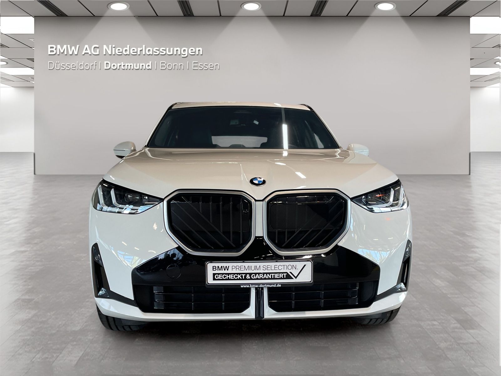 BMW X3 - Bild 8