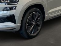 Skoda Karoq - Vorschau Bild 7