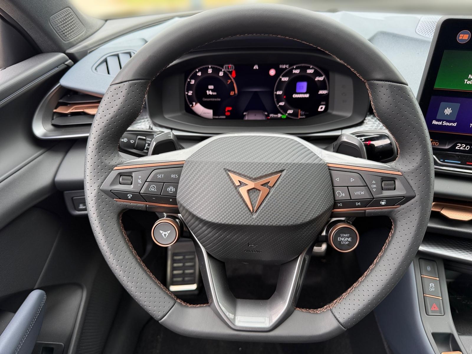 Cupra Terramar VZ 2.0 TSI 4Drive DSG AHK ACC Kamera, миниатюра 7