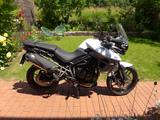 Triumph Tiger 800 XRX Low - Offers matching your search criteria