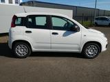 Fiat Panda HYBRID 1.0 GSE 70PS PDC CITY PAKET RADIO 5 - Fiat Panda Gebrauchtwagen in Saarbrücken