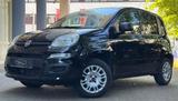 Fiat Panda TÜV AU NEU*KLIMA*Euro 6* - gebrauchte Fiat Panda aus dem Jahr 2019