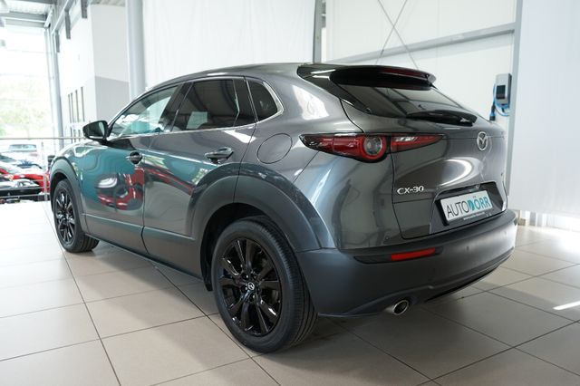 Vorschau Auto