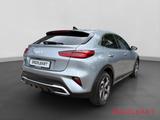 Kia XCeed 1.5T DCT Platinum Edition Glasdach Standhe - gebrauchte Kia XCeed aus dem Jahr 2022