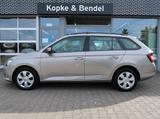 Skoda Fabia Combi 1.0 TSI Ambition Green tec *Extras*T - Skoda Fabia Extra mit Benzin-Antrieb