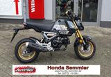 Honda MSX125 1. Hand wie NEU ! - HONDA MSX 125