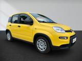 Fiat Panda Pandina Hybrid Neuzustand! Topausstattung! - Fiat Panda mit Hybrid-Antrieb