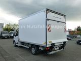 Renault NEW Master 2025 Kühlkoffer LBW Xarios 300 Premiu - Neu Autotransporter