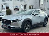 Mazda CX-30 Selection*KLIMA*NAVI*123TKM*EURO6* Head-Up - Mazda CX-3 aus 2020