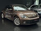 Volkswagen Beetle Cabriolet Design PDC/Temp/Shz/Klima/Alu - Volkswagen Beetle: Cabrio