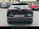 Mazda CX-30 Selection Leder/Navi/HeadUp/Kamera/47000KM - Mazda CX-3 aus 2021