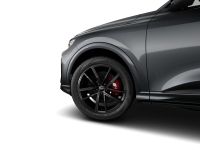Audi SQ5 - Vorschau Bild 3