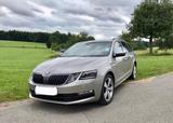 Skoda Octavia Style | TDI | TÜV NEU | TURBO NEUI