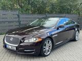 Jaguar XJ Portfolio 3.0 V6 Kompressor Langversion - Jaguar XJ: Portfolio