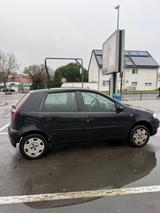 Fiat Punto 1.4 8V Active Active - Fiat Punto in Wiesbaden