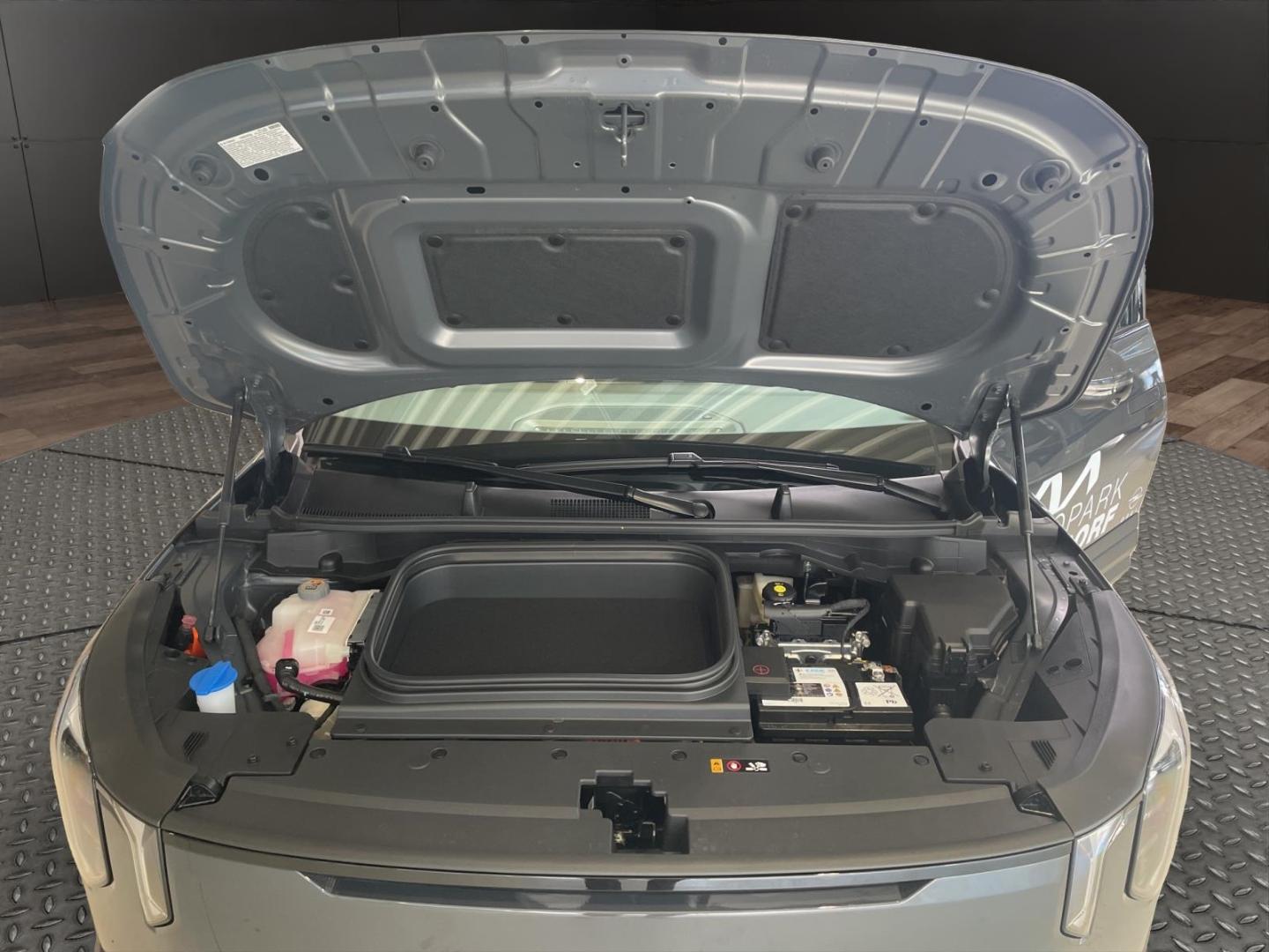 Kia EV2 61 kW Earth LED DAB SHZ LenkradHZG PDCv+h