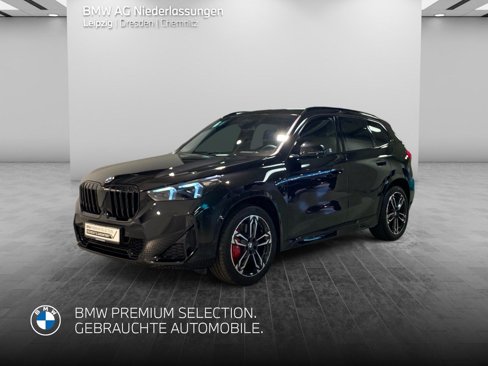 BMW X1 xDrive20d M Sport AHK Driv.Assist+ Harman/K