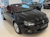 Volkswagen Eos 2.0 TDI Cabrio  DSG PANORAMA LEDER R-KAMERA - mit Diesel-Antrieb: Cabrio