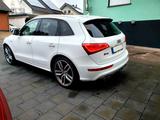 Audi SQ5 3.0 TDI competition tiptronic quattro - - Audi SQ5 Gebrauchtwagen in Köln
