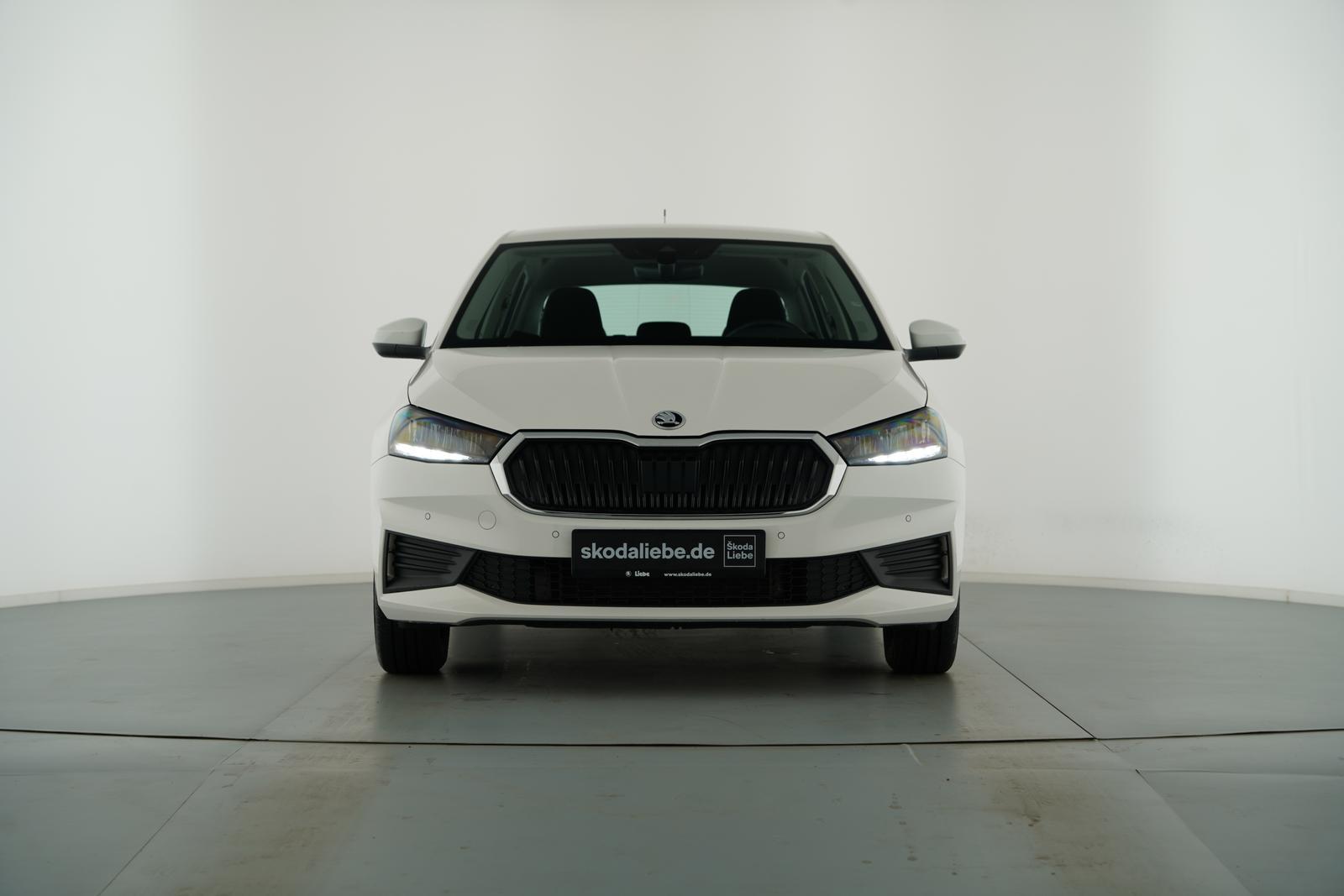Skoda FABIA SELECTION 1.0MPI -ZUVERLÄSSIG & GÜNSTIG-