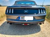 Ford Mustang 2.3 EcoBoost - Tüv/Service neu - Ford Mustang in München