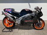 Triumph Daytona T595/955i - TRIUMPH DAYTONA T595