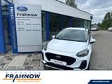 Ford Fiesta Active X WiPa Automatik DAB+