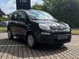 Fiat Panda 1.0 Hybrid MY'25 + City Paket *PDC hi*ZV*B - Fiat Panda Gebrauchtwagen in Dortmund