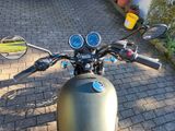 Triumph T100 Bonneville  Special Edition Steve McQueen - Offers matching your search criteria